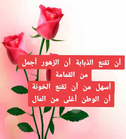 جيفارا … حينَ يصبحُ المالُ أغلى منْ الوطنِ
