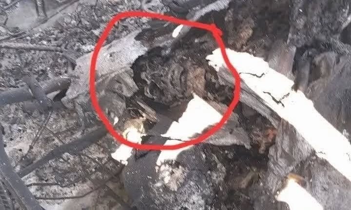 طبس.jpg