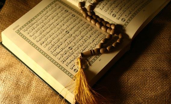 5e2937efb656d.jpg
