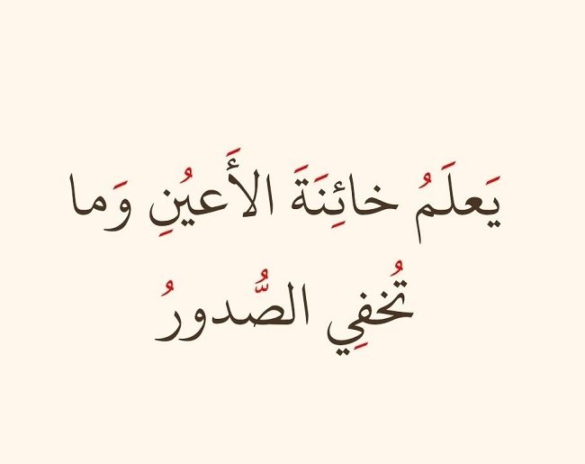 البصيرة.jpg