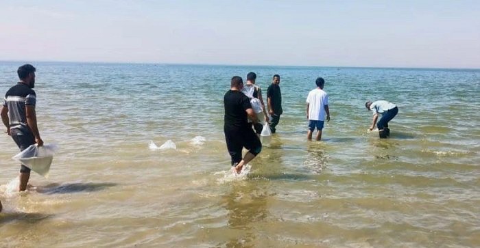 بحيرة.jpg