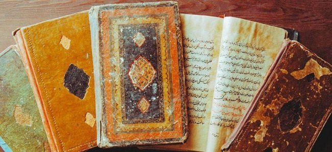 الكنجينة.jpg