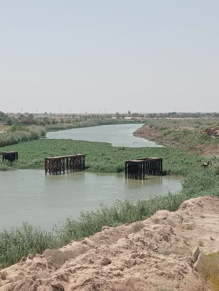 الموارد المائية تكثّف أعمال إزالة زهرة النيل وتطهير الجداول والمبازل في ذي قار والديوانية