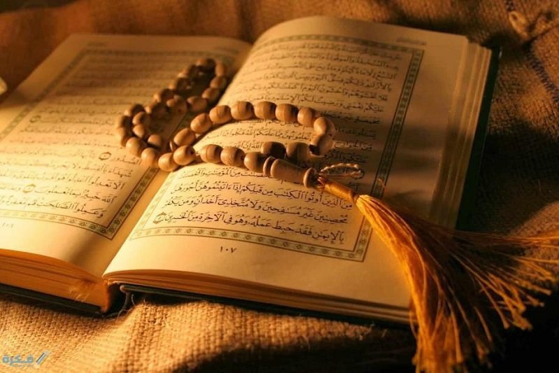 الكنجينة (74) .. أدب الدعاء .. قراءة في صحائف آل محمد (عليهم السلام)
