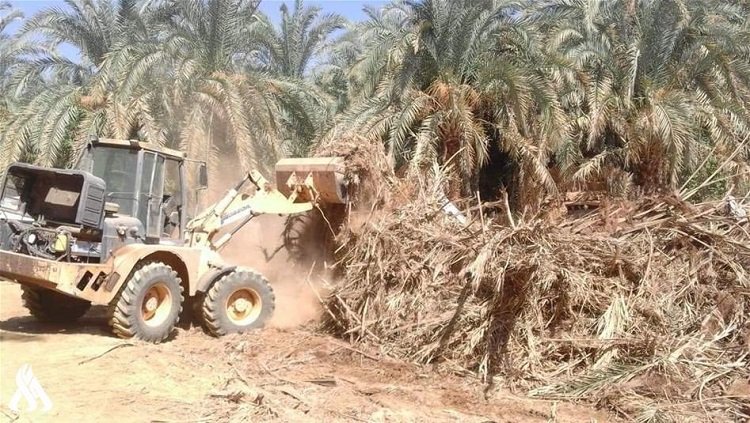 خسارة وطن